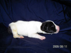click here to see me grow