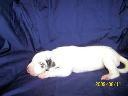 click on me to see me grow