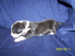 click here to see me grow