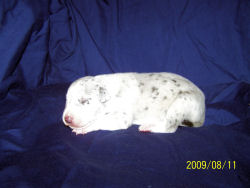 click here to see me grow