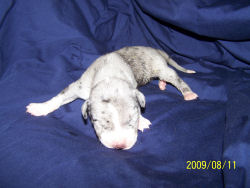 click here to see me grow
