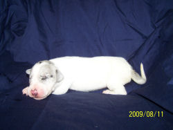 click on me to see me grow!